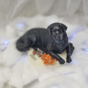 Labrador