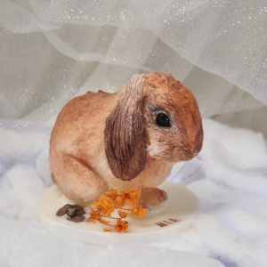 Belier o angora