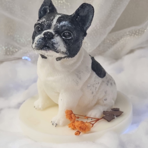 Bulldog francés