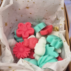 Wax Melts Mix Navidad